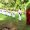 IMG-20250519-WA0086